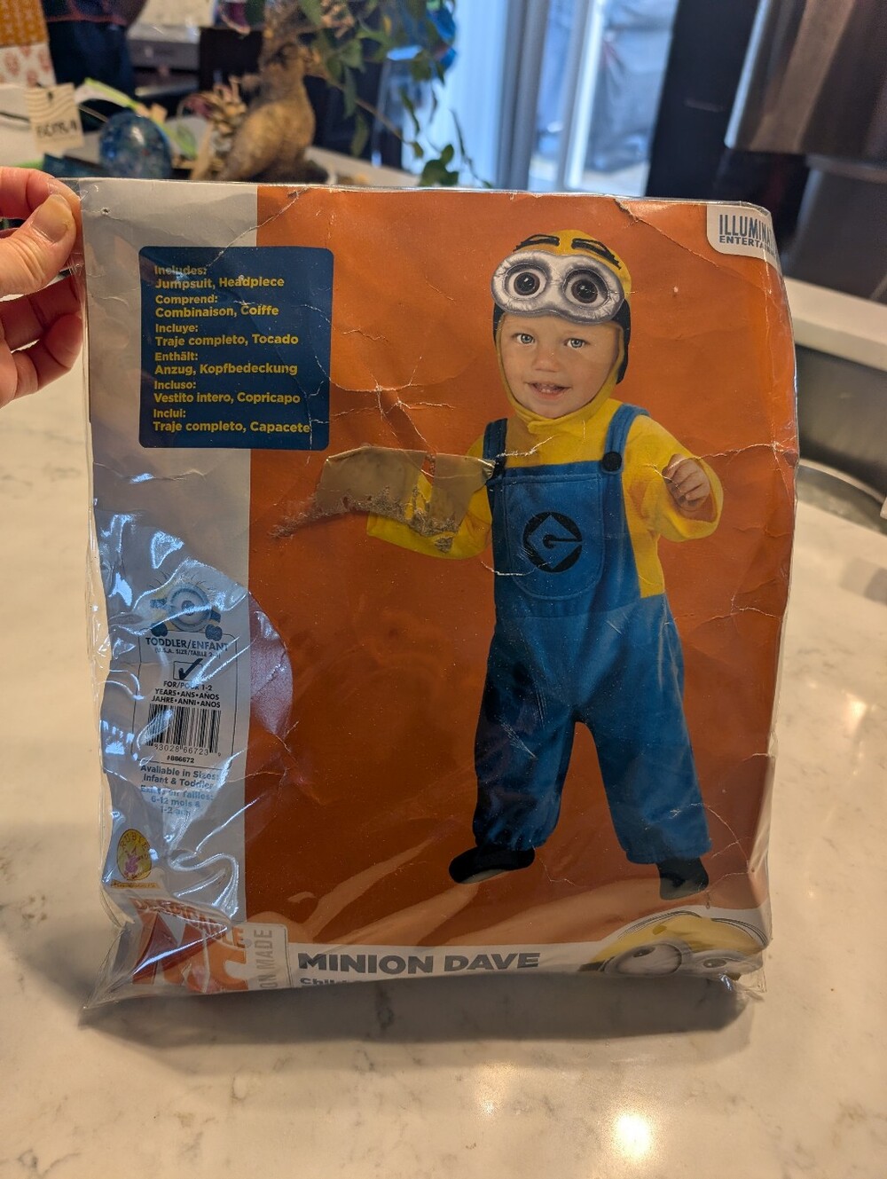 Minions Halloween Costume